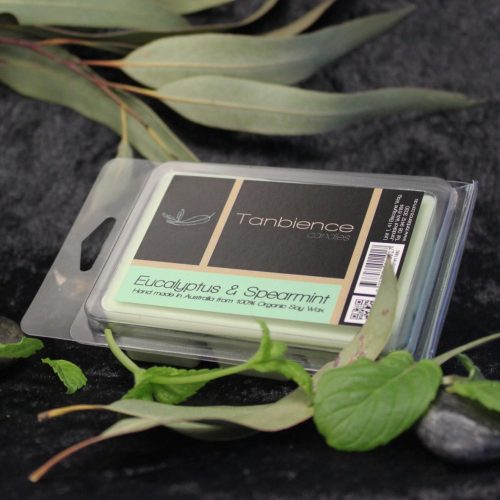 Eucalyptus & Spearmint — Wax Melt