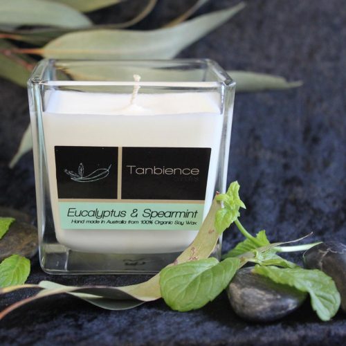 Eucalyptus & Spearmint — Square Jar Candle
