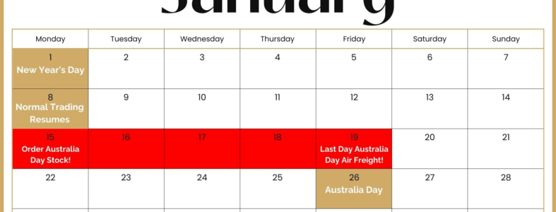 _Newsletter Calendar - January with border